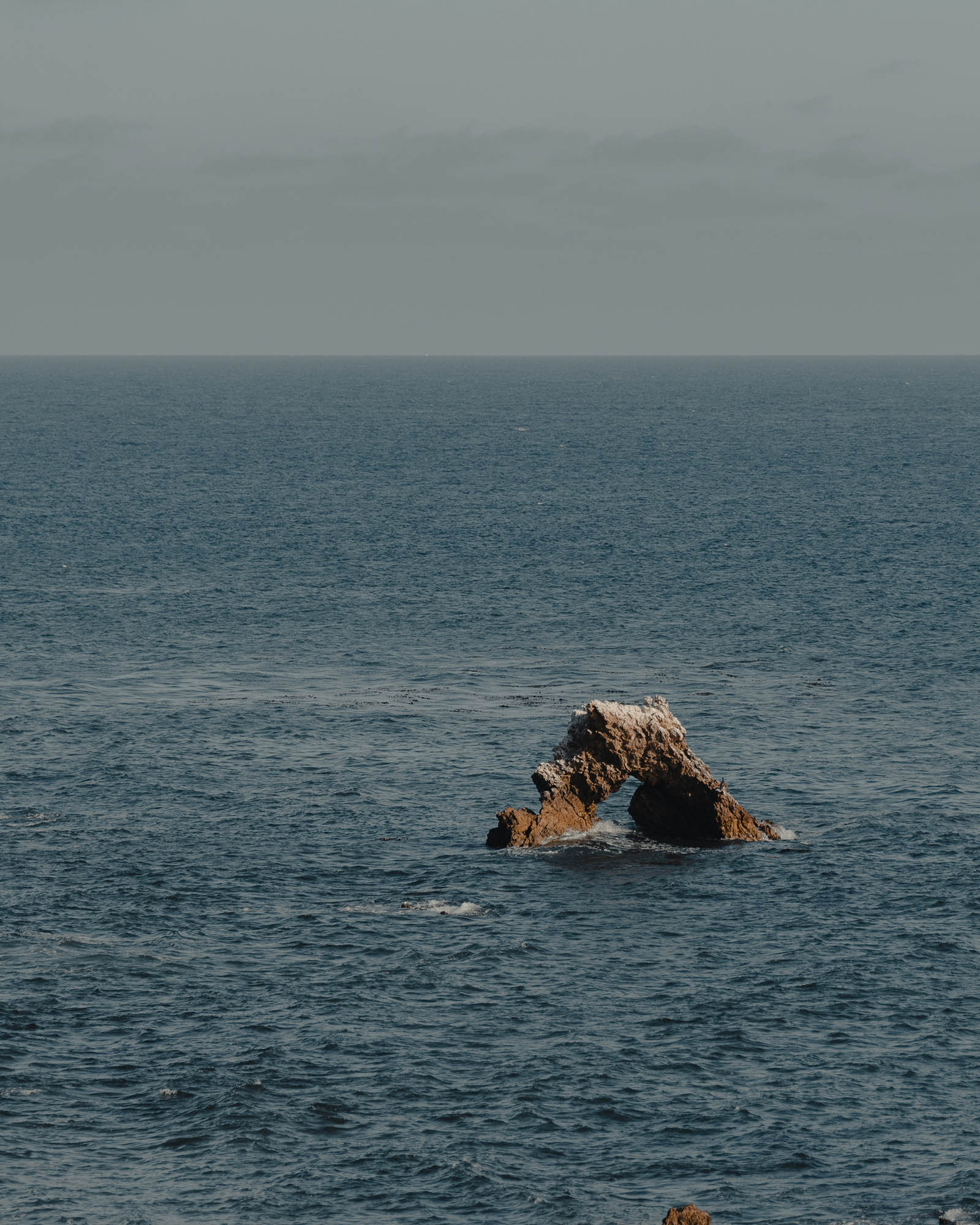 Carlos Brandt X Shawn Chaves