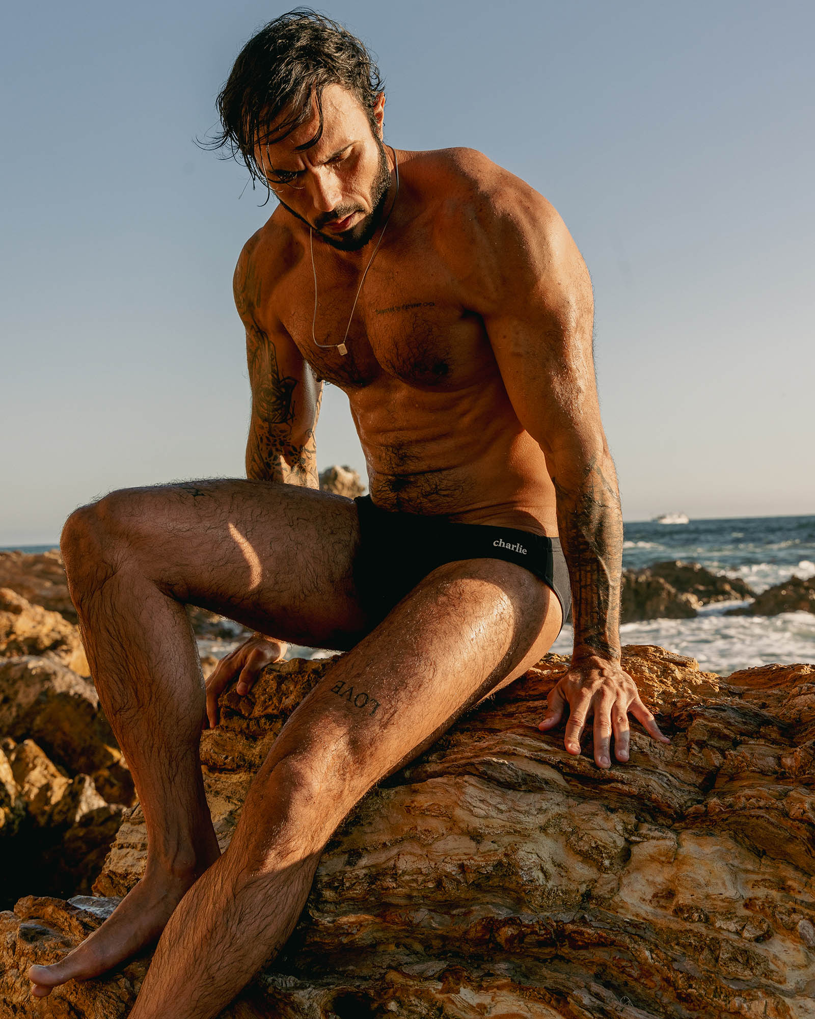 Carlos Brandt X Shawn Chaves