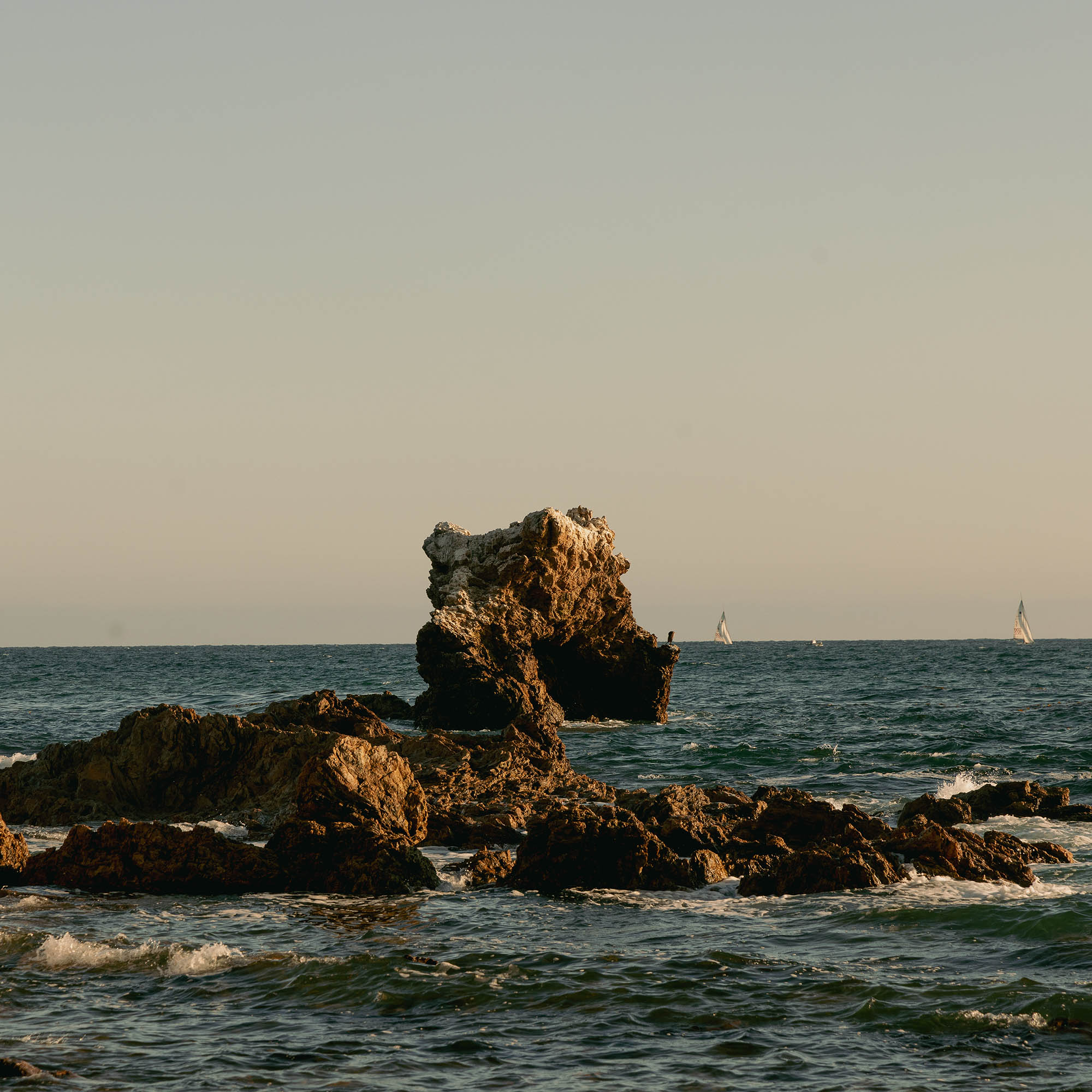 Carlos Brandt X Shawn Chaves