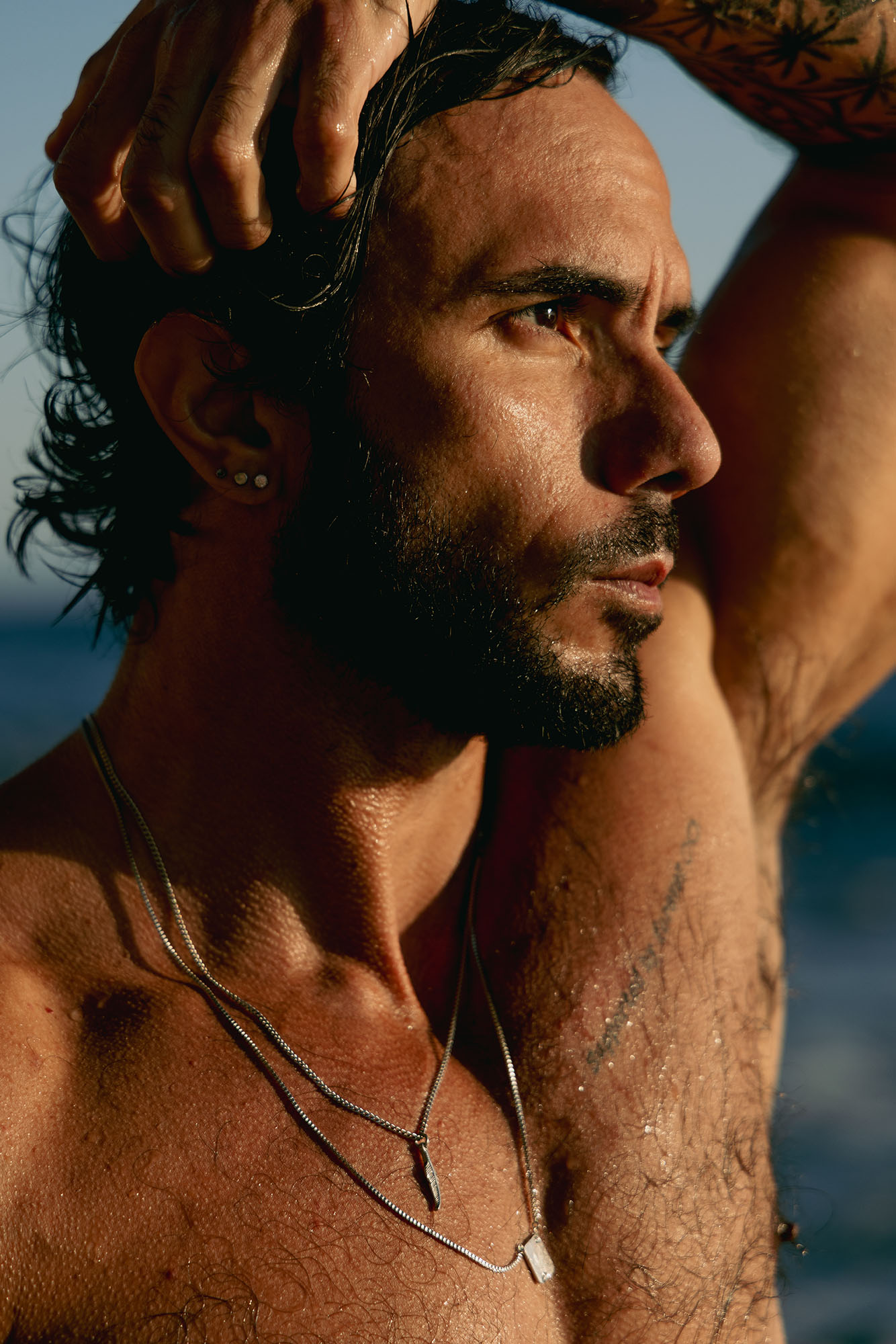 Carlos Brandt X Shawn Chaves