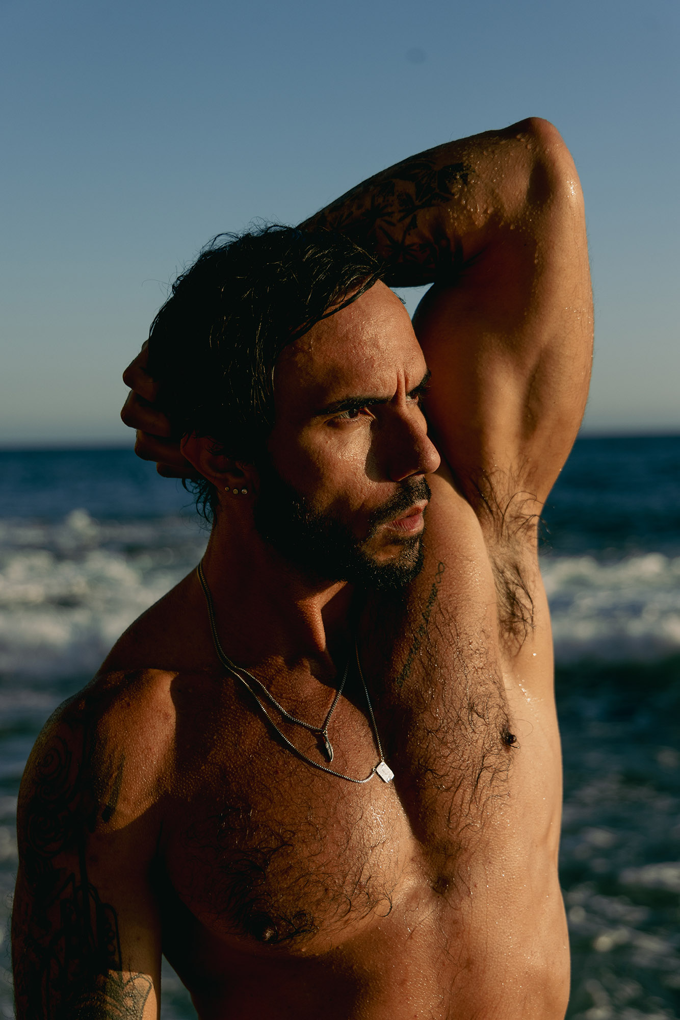 Carlos Brandt X Shawn Chaves